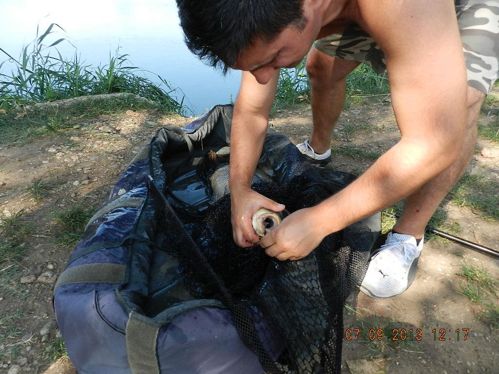 7-8  septembrie20013